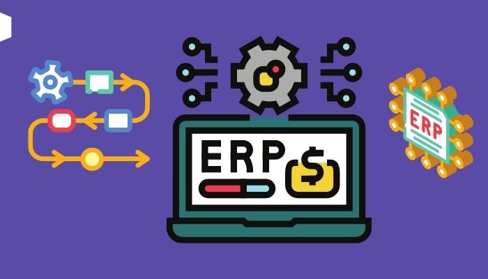 Advantages And Disadvantages Of ERP System