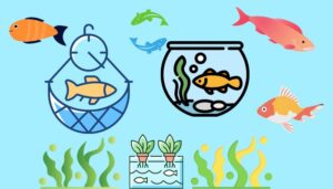 Benefits of aquaculture