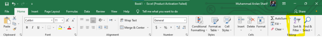 filter in ms excel