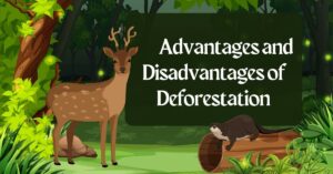 Advantages and Disadvantages of Deforestation