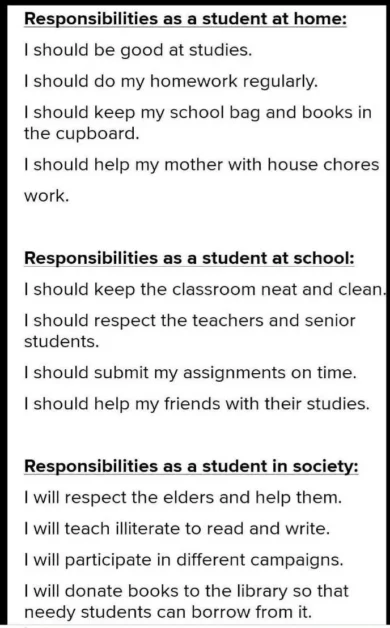 responsibilities of a student in society and school